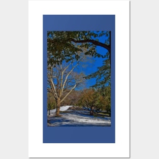 USA. New York. Central Park. The First Snow. Posters and Art